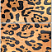 Панель из ПВХ с цифровой печатью Леопард